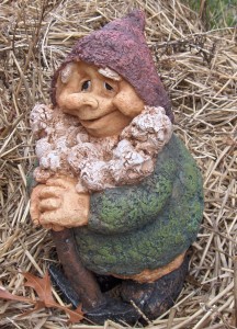 Minor Gnome 49'r